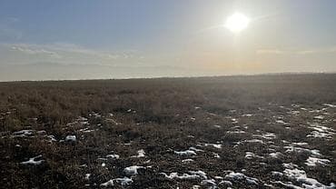 обмен на землю: 500 соток, Для сельского хозяйства, Тех паспорт — 1