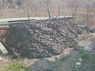 слива ягоды: Отдам бесплатно! Перегной/навоз для огорода и сада. - Натуральное — 1