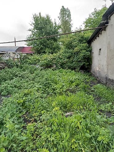в аренду сто: Открытая промплощадка/двор для хранения и работ - Просторная — 4
