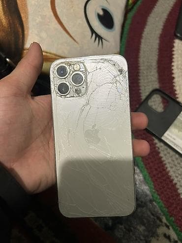 кулер: IPhone 12 Pro, 128 ГБ, Серебристый, Чехол — 2