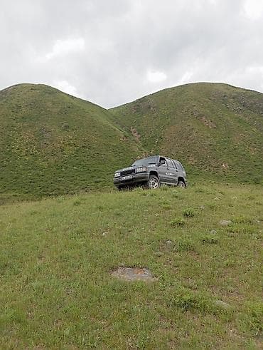 bad ass: Isuzu Bighorn: 1994 г., 3.2 л, Автомат, Бензин, Внедорожник — 4