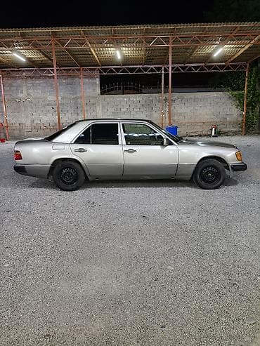 мон блан: Mercedes-Benz W124: 1992 г., Седан — 4