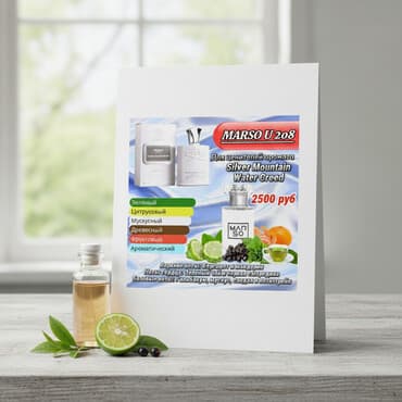 MARSO U 208 — аромат для ценителей Silver Mountain Water Creed