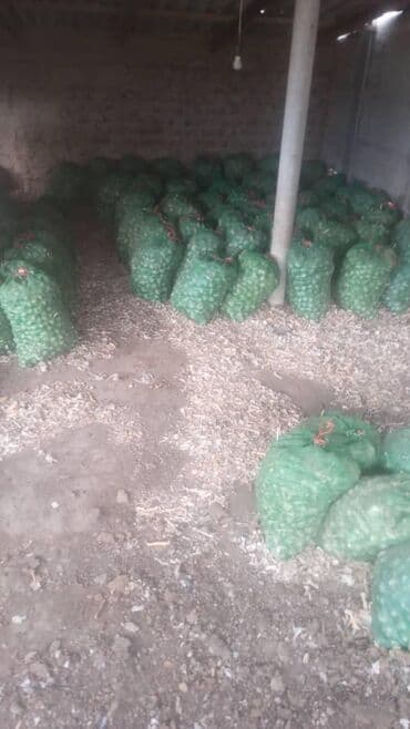 стенка из 5 шкафов: Чеснок Оптом, Самовывоз, Платная доставка — 1