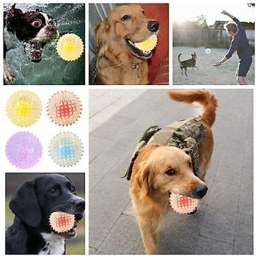 цена бельгийской овчарки: Продаю ошейники для крупных,средних и мелких пород собак по разным — 9