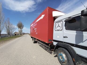 офисные растения: Грузоперевозки — 2