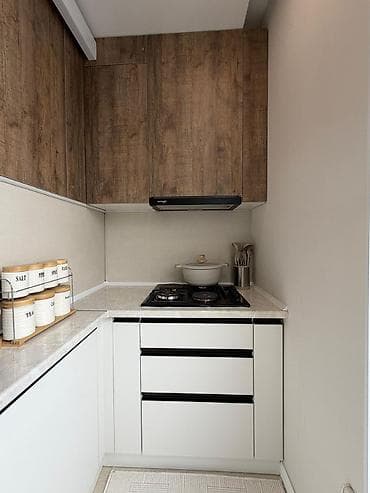 ошский район: 2 комнаты, 50 м², Элитка, 4 этаж, Евроремонт — 3