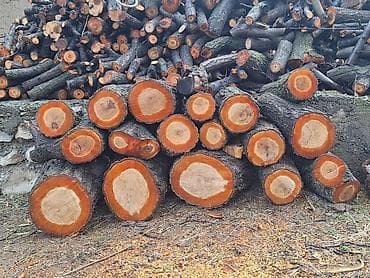 куры несушки: Дрова — 2