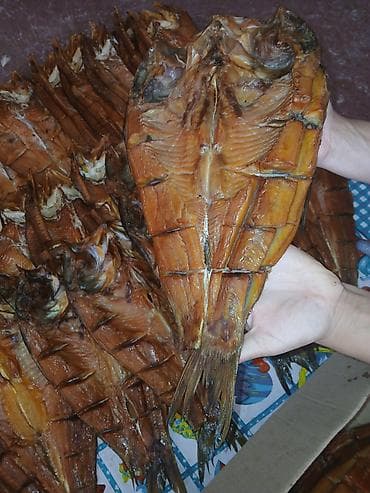 уголь каракече бешсары шабыркуль каражыра доставка бишкек купить: 4 вида рыбы толстолоб судак форель и рыбный палочка Горячего — 3