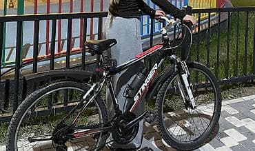 планетарий: Горный велосипед Stinger 26" - Рама: стальная, классическая — 1