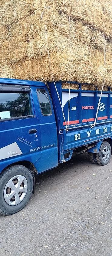продаю жмых: Солома в тюках - Вид: прессованные тюки соломы. - Форма — 1