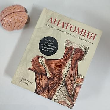 атлас анатомия: Анатомия с иллюстрациями из классической "Анатомии Грея" Кристофер — 1