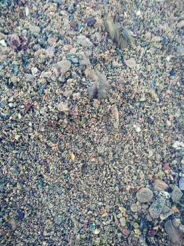 купить почву для комнатных растений: Отсев щебень смесь песок. Отсев используется для стяжки сейсмопояса — 4