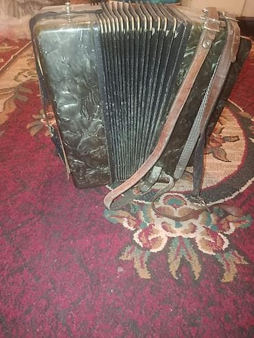 с220: Баяны — 3