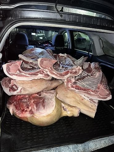 Эт азыктары: Свежая свинина оптом и в розницу 🥩 ✔️ Домашнее качество ✔️ Выгодные — 5