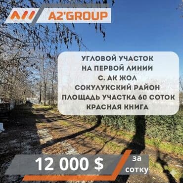 рынок ошский: 60 соток, Для строительства, Красная книга — 1