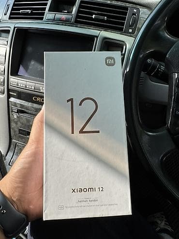 Xiaomi, 12, Б/у, 256 ГБ, цвет - Серый, 2 SIM