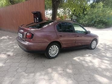 продаю корзину: Nissan Primera Camino: 2001 г., 1.8 л, Механика, Бензин, Лифтбек — 3