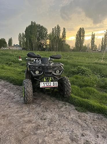 бенали мотор: Квадроцикл Coleman 200 Описание: - задний привод, высокий клиренс — 4