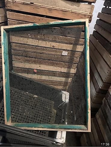 оборудование для кур: Оборудование для птицеводства - Подвесные и напольные поилки/кормушки — 5