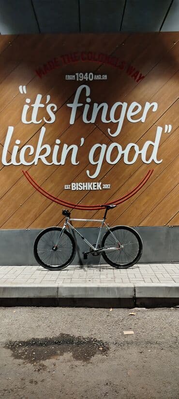 держатель телефона для велосипеда: Шоссейный велосипед, Рама L (172 - 185 см), Б/у — 9