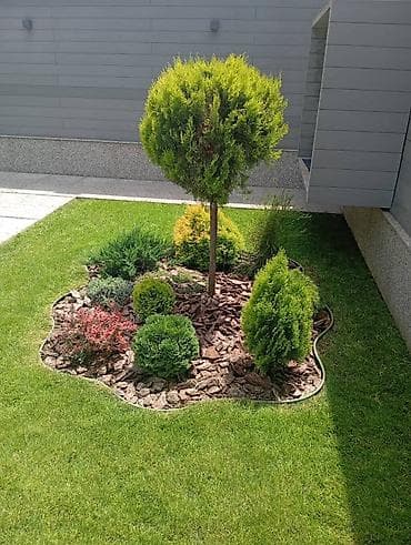 укладка асфальт: Услуги ландшафтного озеленения - Устройство газона «под ключ» — 2