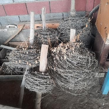 Колючая проволока Егоза: Колючая проволока в рулонах - Тип: классическая колючая проволока на — 1