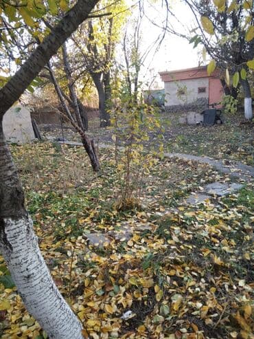 биримдик кут дома: Үй, 57 кв. м, 3 бөлмө, Менчик ээси, Косметикалык оңдоо — 3
