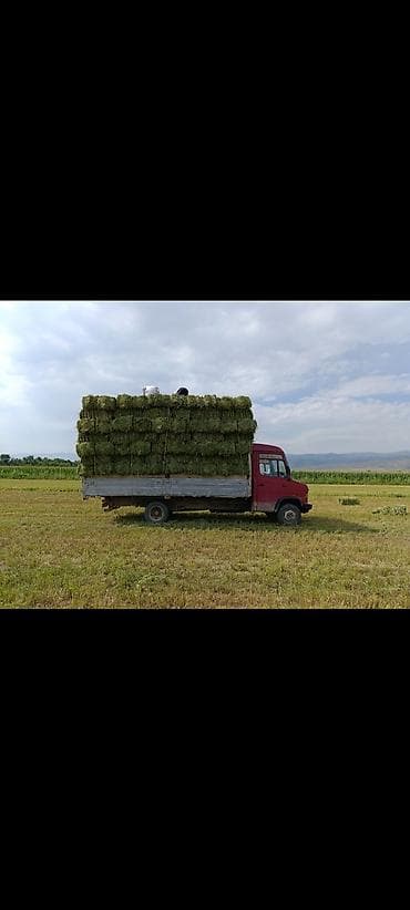 маз тонар: Грузовик, Mercedes-Benz, Стандарт, 6 т, Б/у — 8