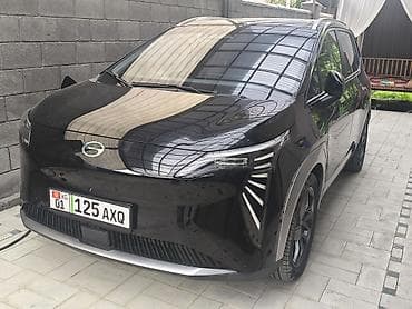 Aion Y plus 510 максимальная комплектация . Не принимает быстрый