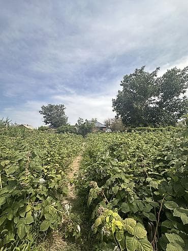 рахат: 10 соток, Для бизнеса, Тех паспорт, Договор купли-продажи, Красная книга — 2