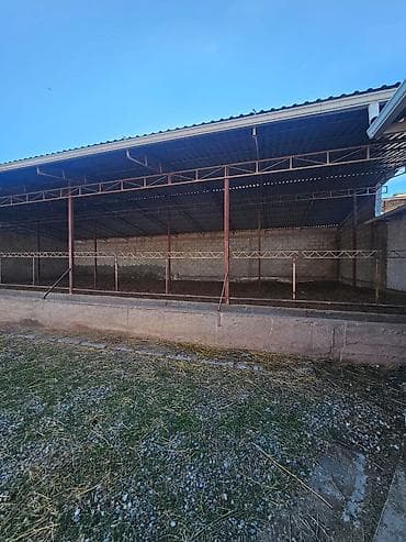 аренда берем: Кошара, 21 соток, Действующий, Отопление, Холодная вода, Электричество — 5