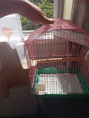 хомяки с клеткой: Защитные сетки от птиц — 2