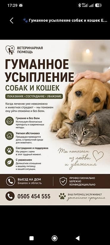 Ветеринарная помощь: гуманное усыпление собак и кошек - Показания •