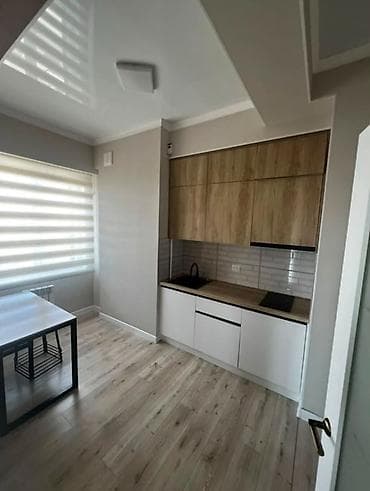 2 комнаты, 52 м², ЗАГС/Цирк Элитка, 11 этаж, Евроремонт