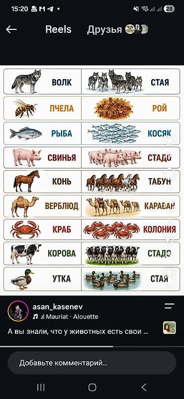 очиститель труб: Тепличные каркасы советские - Арочные секции для сборки теплицы на — 2