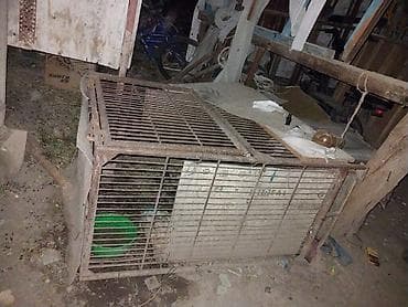 cane corso: Клетка для кроликов/мелких животных + кролик - Просторная — 1