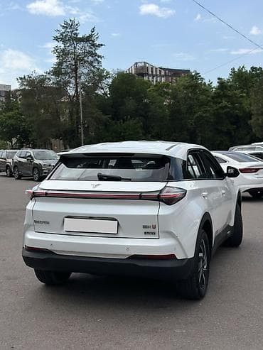 byd w6: Weltmeister 2022 г., 105000 км, Передний, В наличии — 4