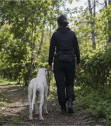 быки лимузин: 🐾 ВЫГУЛ СОБАК | БИШКЕК • Обычная прогулка (30 мин) Маленькие/средние — 6