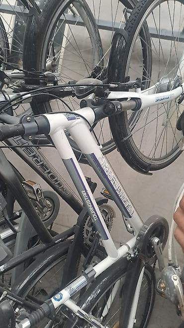 forward apache: Пегасус чистокровный немец. шикарный вариант для городских прогулок — 7