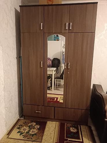 вешала для одежды: Шифоньер, шкаф для одежды, Прямой, ЛДСП — 1