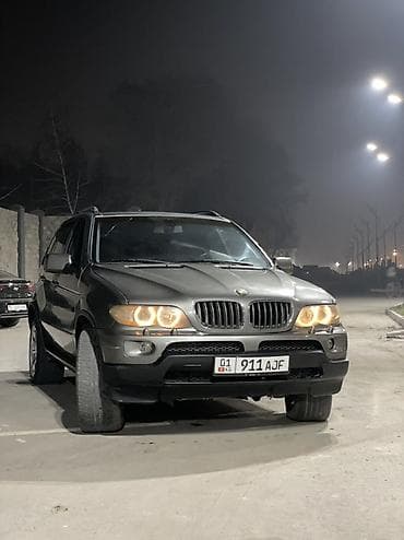 BMW: BMW X5: 2004 г., 3 л, Автомат, Дизель, Кроссовер — 3