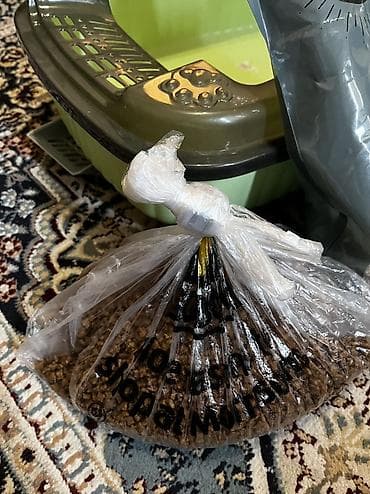 палетный ящик: Полный стартовый набор для кошки: Лоток + Лопатка + Пуходерка + Корм + — 3