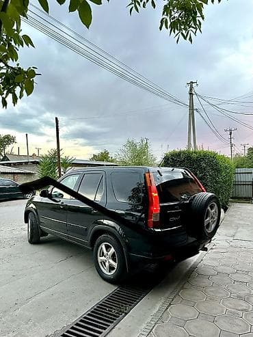 я ищу срв: Honda CR-V: 2003 г., 2.4 л, Автомат, Бензин, Кроссовер — 1