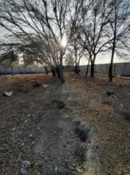 продажа дом село джал: 14 соток, Красная книга — 12