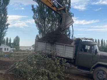 семена помидоры: В тоннах, Бесплатная доставка, Зил — 3