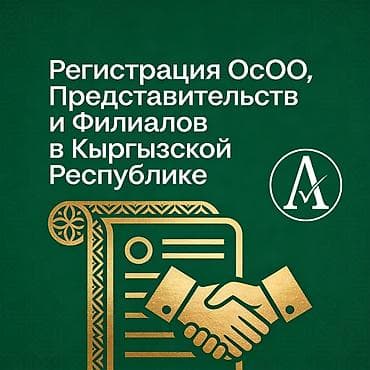 Юридические услуги | Трудовое право, Финансовое право | Консультация, Аутсорсинг