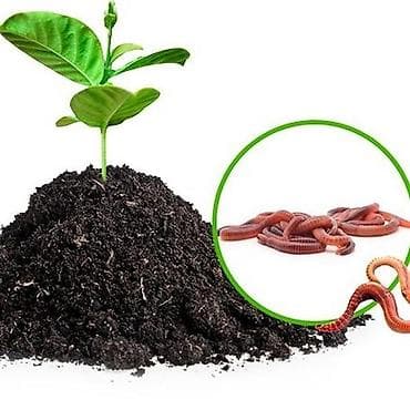 Дрова: Удобрение Гумус, Самовывоз — 2