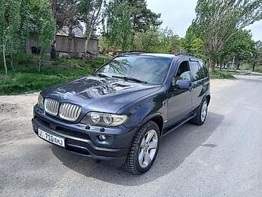 BMW X5: 2004 г., 4.4 л, Автомат, Бензин, Кроссовер
