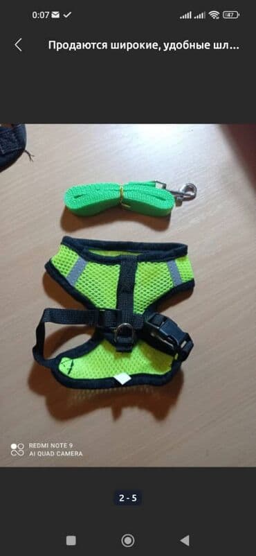 Кемирүүчүлөр: Широкие шлейки с поводком для собак и кошек. Качество отличное — 6